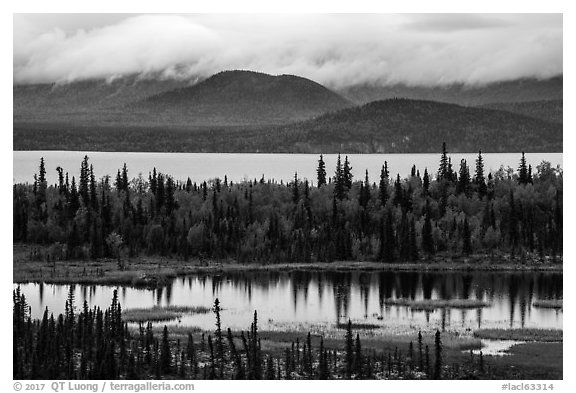 Beaver Pond and Lake Clark. Lake Clark National Park (black and white)