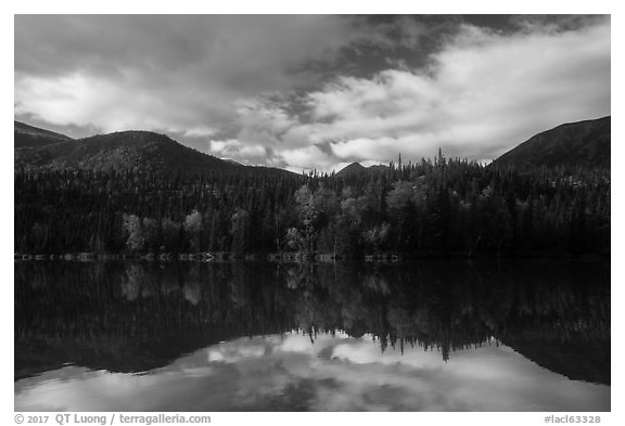 Kontrashibuna Lake reflections. Lake Clark National Park (black and white)