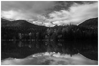 Kontrashibuna Lake reflections. Lake Clark National Park ( black and white)