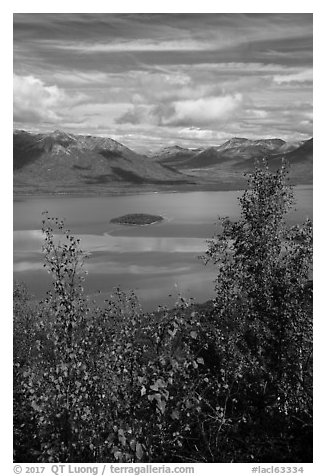 Lake Clark and islet framed by trees in autumn foliage. Lake Clark National Park (black and white)