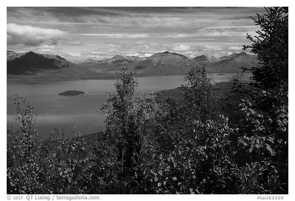 Trees in fall foliage and Lake Clark. Lake Clark National Park (black and white)