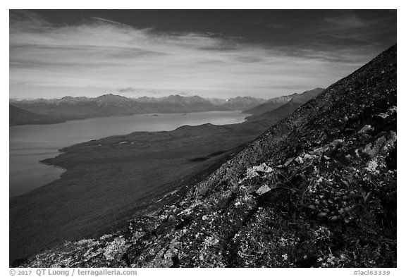 Tundra plants and Lake Clark (Qizhjeh Vena). Lake Clark National Park (black and white)