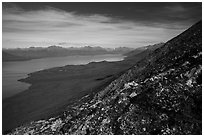 Tundra plants and Lake Clark (Qizhjeh Vena). Lake Clark National Park ( black and white)