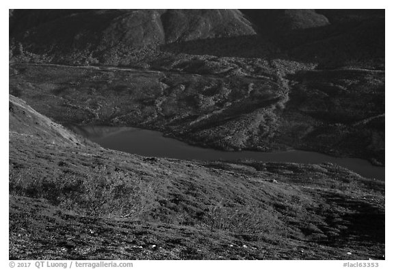 Tundra in autumn, turquoise Kontrashibuna Lake. Lake Clark National Park (black and white)