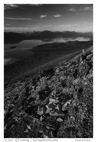 Lake Clark from Tanalian Mountain, late afternoon. Lake Clark National Park (black and white)