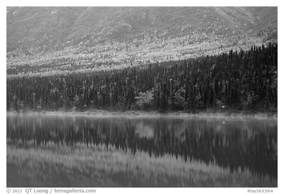 Reflections in turquoise waters, Kontrashibuna Lake. Lake Clark National Park (black and white)