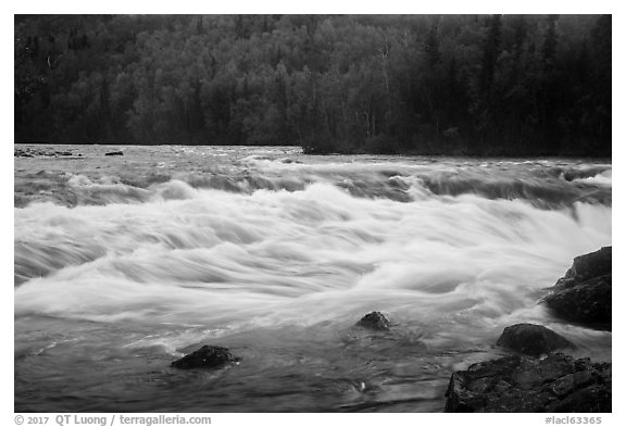 Tanalian River rapids. Lake Clark National Park (black and white)