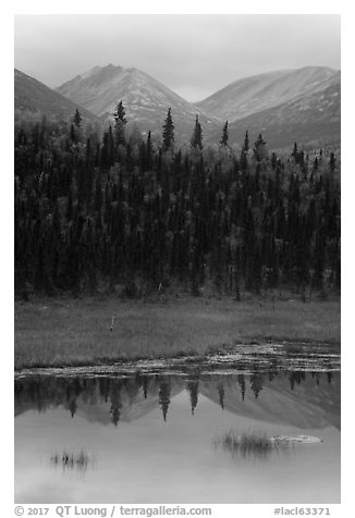 Beaver Pond in autumn. Lake Clark National Park (black and white)