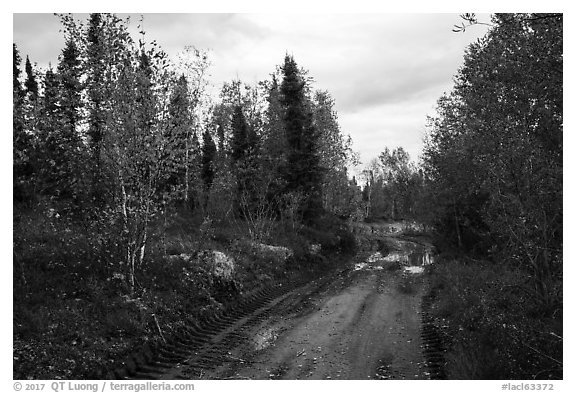 Dirt road near Port Alsworth. Lake Clark National Park (black and white)