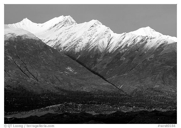 Fireweed mountains near Kennicott. Wrangell-St Elias National Park, Alaska, USA.