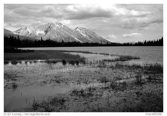 Bonaza ridge seen above a pond at the base of Mt Donoho, afternoon. Wrangell-St Elias National Park (black and white)