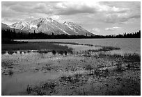 Bonaza ridge seen above a pond at the base Donoho Peak, afternoon. Wrangell-St Elias National Park ( black and white)