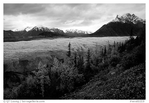 Fall colors, Mt Donoho above Root glacier. Wrangell-St Elias National Park, Alaska, USA.