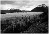 Fall colors, Mt Donoho above Root glacier. Wrangell-St Elias National Park, Alaska, USA. (black and white)