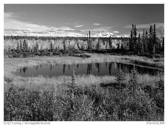 Pond and Wrangell range in the distance. Wrangell-St Elias National Park, Alaska, USA.