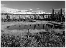 Pond and Wrangell range in the distance. Wrangell-St Elias National Park ( black and white)