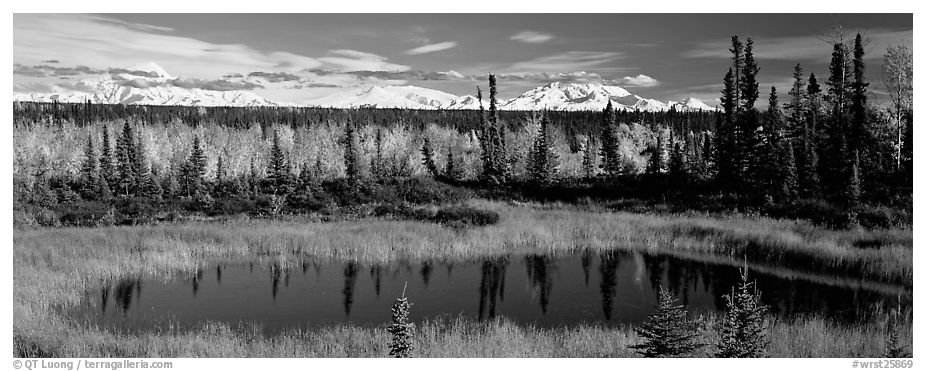 Autumn landscape with pond, forest, and distant mountains. Wrangell-St Elias National Park (black and white)