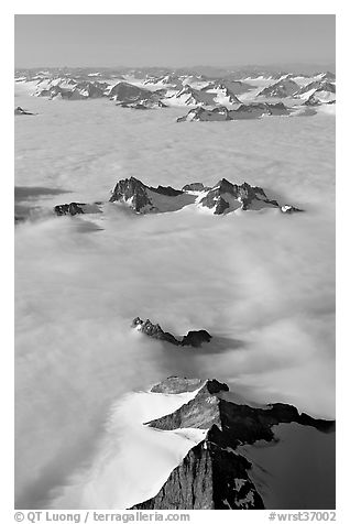 Aerial view of ridges and summits emerging from sea of clouds, St Elias range. Wrangell-St Elias National Park, Alaska, USA.