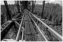 Canyon and river from the Kuskulana bridge. Wrangell-St Elias National Park, Alaska, USA. (black and white)