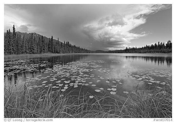 Crystal Lake with starting afternoon shower. Wrangell-St Elias National Park (black and white)