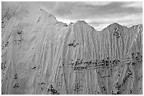 Aerial view of ice wall, University Range. Wrangell-St Elias National Park, Alaska, USA. (black and white)