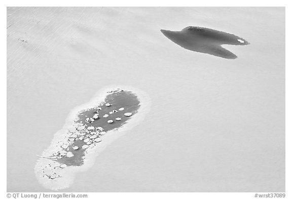 Aerial view of glacial melt lakes on Bagley Field. Wrangell-St Elias National Park (black and white)