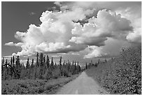 Mc Carthy road and afternoon thunderstorm clouds. Wrangell-St Elias National Park, Alaska, USA. (black and white)