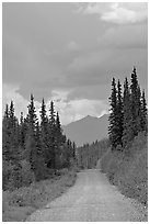 McCarthy road. Wrangell-St Elias National Park, Alaska, USA. (black and white)