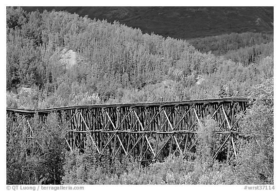 Gilahina trestle and hills. Wrangell-St Elias National Park, Alaska, USA.