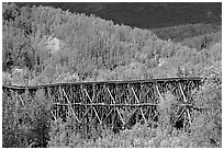 Gilahina trestle and hills. Wrangell-St Elias National Park, Alaska, USA. (black and white)