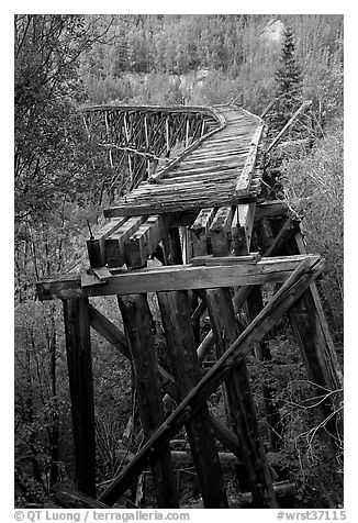 Old railroad bed on Gilahina trestle. Wrangell-St Elias National Park (black and white)