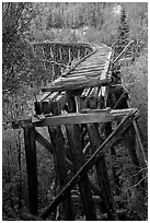 Old railroad bed on Gilahina trestle. Wrangell-St Elias National Park ( black and white)