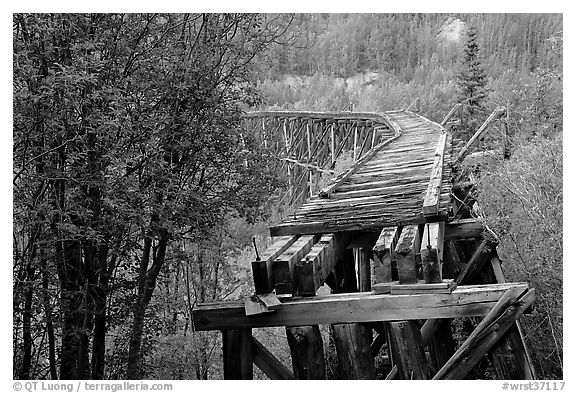 Gilahina trestle, constructed in eight winter days. Wrangell-St Elias National Park (black and white)