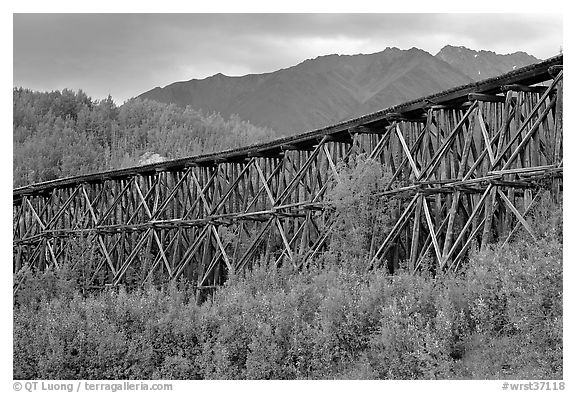 Historic Railroad trestle crossing valley. Wrangell-St Elias National Park, Alaska, USA.