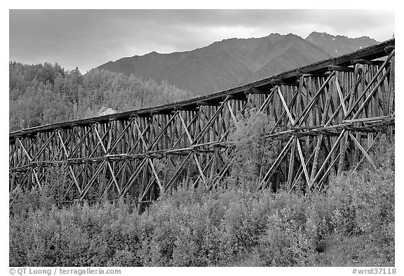 Historic Railroad trestle crossing valley. Wrangell-St Elias National Park, Alaska, USA.