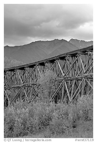 Historic CR and NW Gilahina trestle. Wrangell-St Elias National Park (black and white)