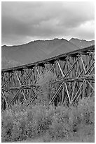 Historic CR and NW Gilahina trestle. Wrangell-St Elias National Park ( black and white)