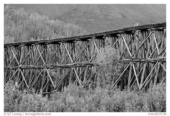 Section of Gilahina trestle constructed in 1911. Wrangell-St Elias National Park (black and white)