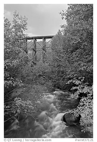 Gilahina River and trestle. Wrangell-St Elias National Park, Alaska, USA.