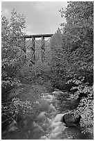 Gilahina River and trestle. Wrangell-St Elias National Park, Alaska, USA. (black and white)