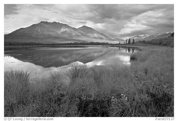 Grasses, lake, and mountains. Wrangell-St Elias National Park, Alaska, USA.