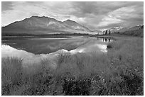 Grasses, lake, and mountains. Wrangell-St Elias National Park ( black and white)