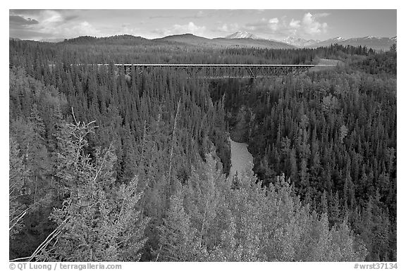Kuskulana canyon and bridge. Wrangell-St Elias National Park (black and white)