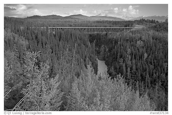 Kuskulana canyon and bridge. Wrangell-St Elias National Park, Alaska, USA.