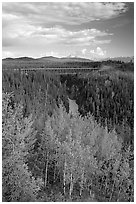 Aspen, Kuskulana canyon and bridge. Wrangell-St Elias National Park ( black and white)