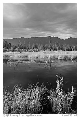 Pond, tundra and mountains. Wrangell-St Elias National Park, Alaska, USA.