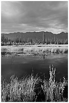 Pond, tundra and mountains. Wrangell-St Elias National Park, Alaska, USA. (black and white)