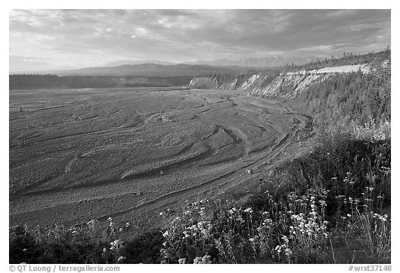 River plain of the Kotsina. Wrangell-St Elias National Park, Alaska, USA.