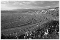 River plain of the Kotsina. Wrangell-St Elias National Park, Alaska, USA. (black and white)