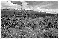 Lowland tundra, and Mentasta Mountains. Wrangell-St Elias National Park, Alaska, USA. (black and white)